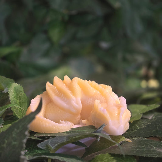 DRAGON SOAPS